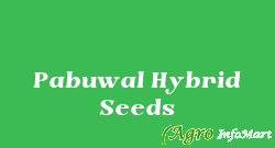 Pabuwal Hybrid Seeds