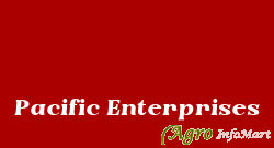 Pacific Enterprises mumbai india