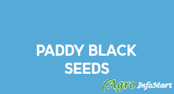 Paddy Black Seeds