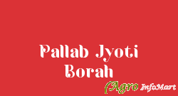 Pallab Jyoti Borah