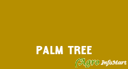 Palm Tree ernakulam india