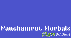 Panchamrut Herbals ahmedabad india