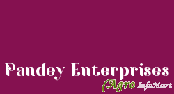 Pandey Enterprises mumbai india