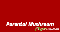 Parental Mushroom