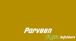 Parveen
