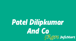 Patel Dilipkumar And Co