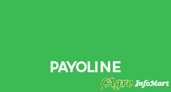 Payoline hyderabad india