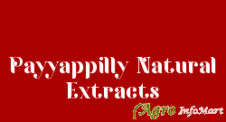 Payyappilly Natural Extracts