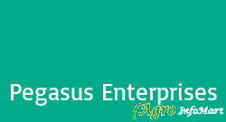 Pegasus Enterprises