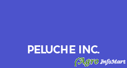 Peluche Inc.