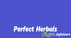 Perfect Herbals raipur india