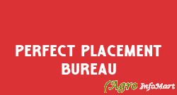 Perfect Placement Bureau