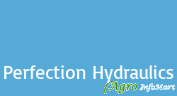 Perfection Hydraulics delhi india
