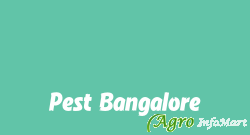 Pest Bangalore