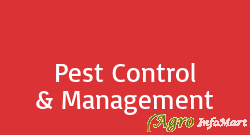 Pest Control & Management ranchi india