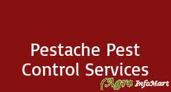 Pestache Pest Control Services mumbai india