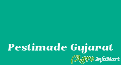 Pestimade Gujarat