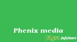 Phenix media pune india