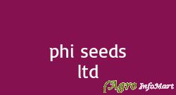 phi seeds ltd hyderabad india
