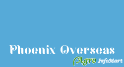 Phoenix Overseas delhi india