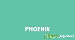 Phoenix vadodara india
