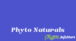Phyto Naturals pune india