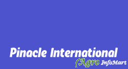 Pinacle International