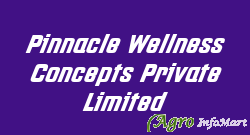 Pinnacle Wellness Concepts Private Limited chennai india
