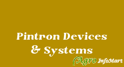 Pintron Devices & Systems delhi india