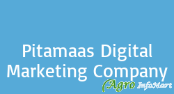 Pitamaas Digital Marketing Company ludhiana india