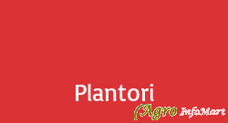 Plantori