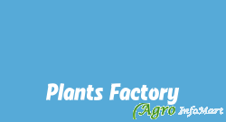 Plants Factory