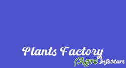 Plants Factory delhi india