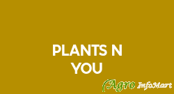 Plants N You