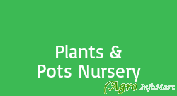 Plants & Pots Nursery kolkata india