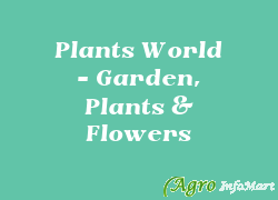 Plants World - Garden, Plants & Flowers