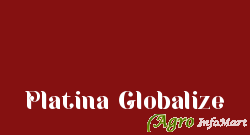 Platina Globalize pune india