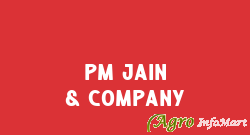 PM Jain & Company bangalore india