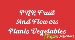 PNR Fruit And Flowers Plants Vegetables