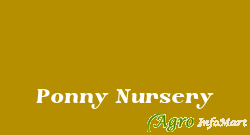 Ponny Nursery chennai india