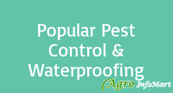 Popular Pest Control & Waterproofing ahmedabad india