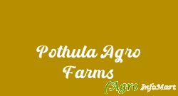 Pothula Agro Farms