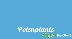 Potsnplants bangalore india