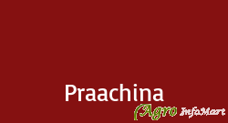 Praachina