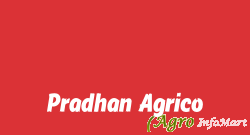 Pradhan Agrico