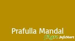 Prafulla Mandal  