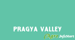 Pragya Valley