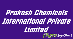 Prakash Chemicals International Private Limited