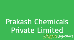 Prakash Chemicals Private Limited vadodara india