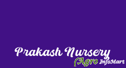 Prakash Nursery